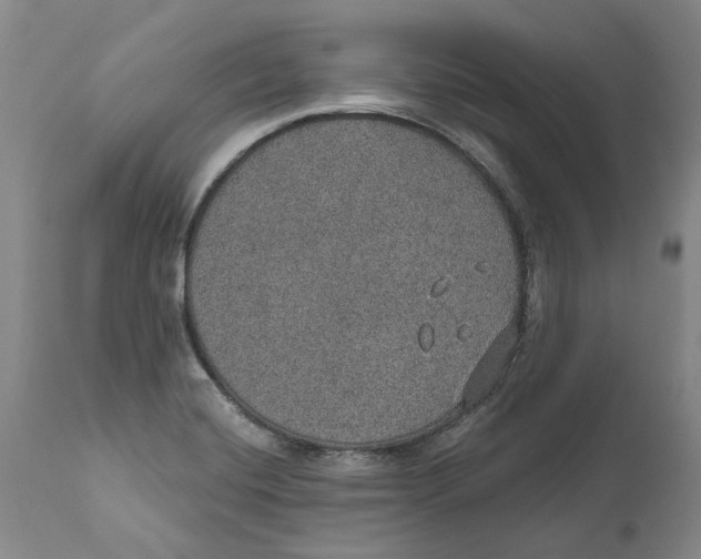 X0000112381420200909101335