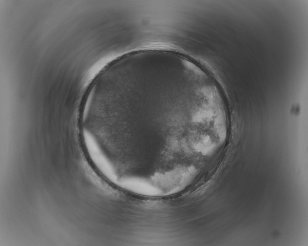 X0000112381422200909101335