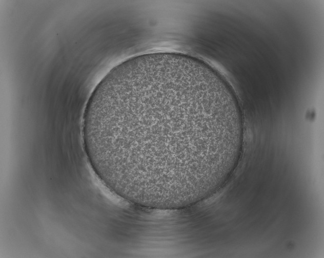 X0000112381423200909101335