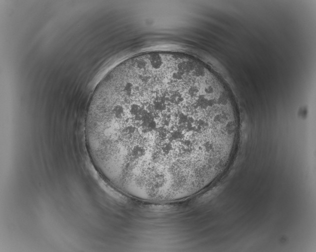 X0000112381425200909101335