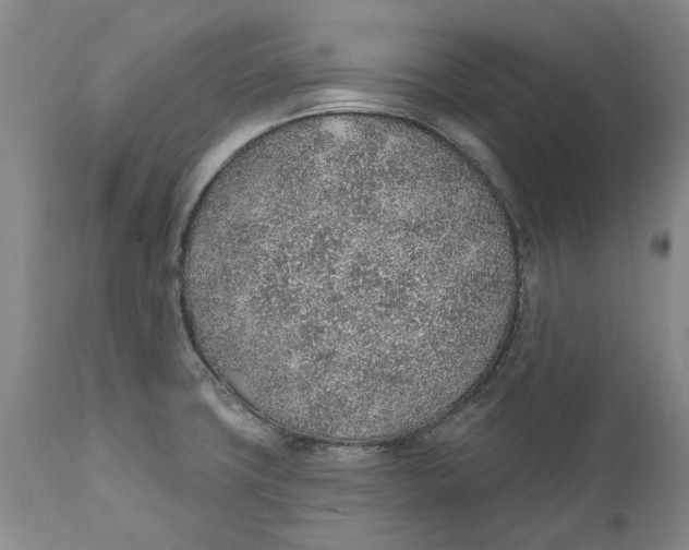 X0000112381427200909101335