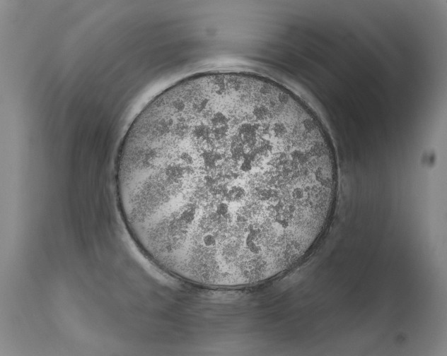 X0000112381429200909101335