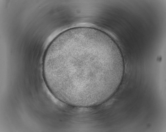 X0000112381430200909101335