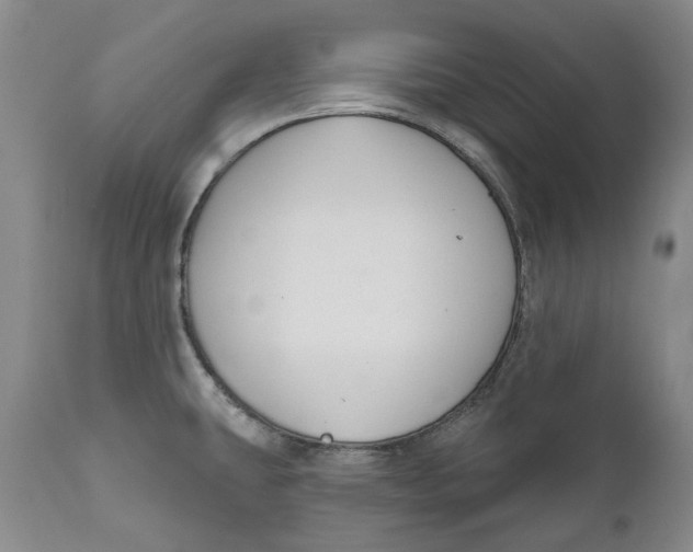 X0000112381431200909101335