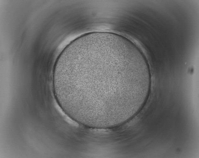 X0000112381432200909101335