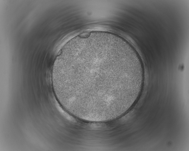 X0000112381433200909101335