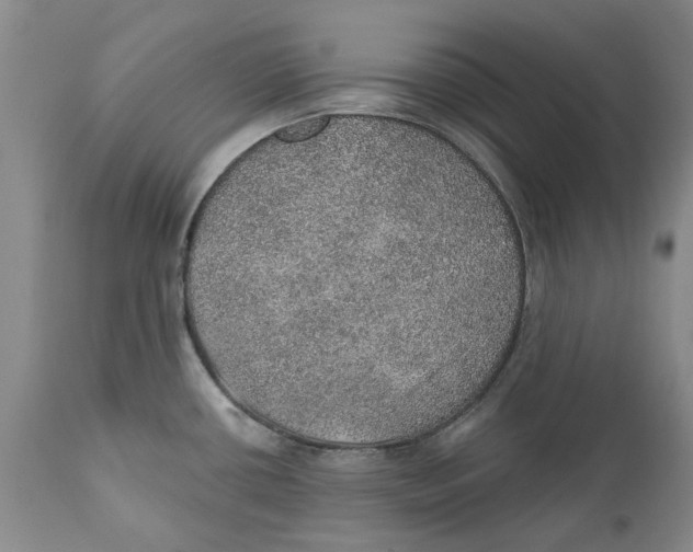 X0000112381434200909101335