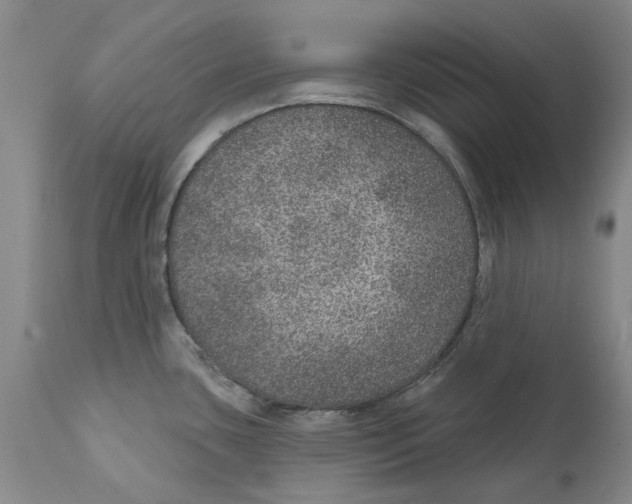 X0000112381435200909101335