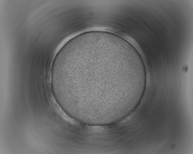 X0000112381436200909101335