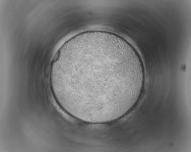 X0000112381437200909101335