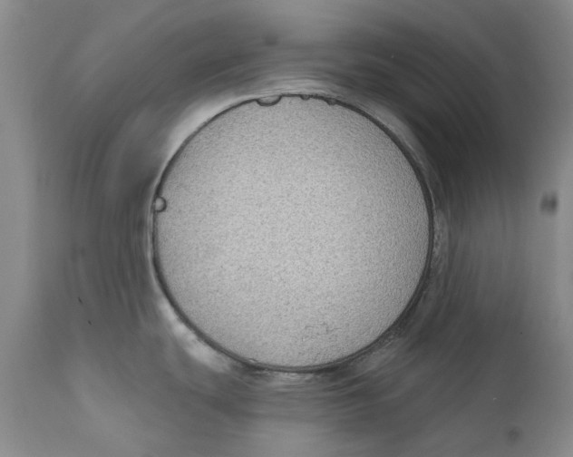 X0000112381439200909101335