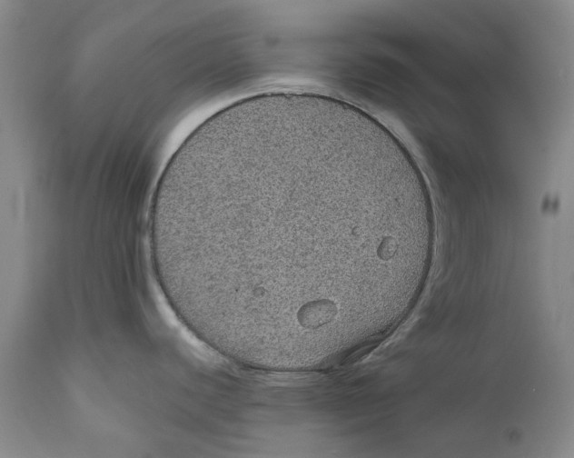 X0000112381440200909101335