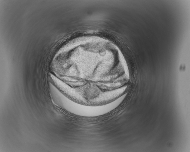 X0000112381441200909101334