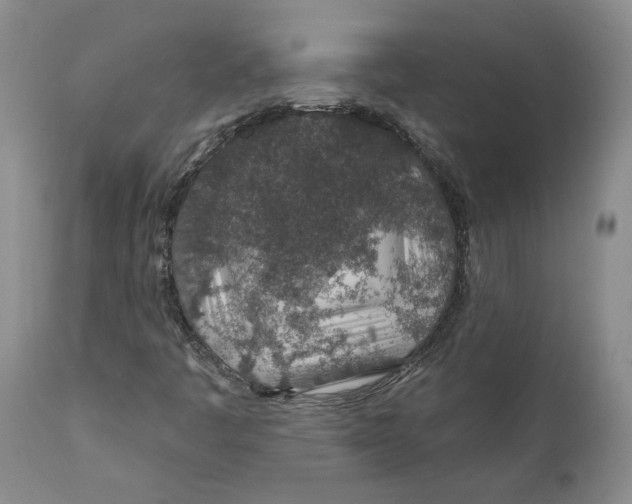 X0000112381445200909101334