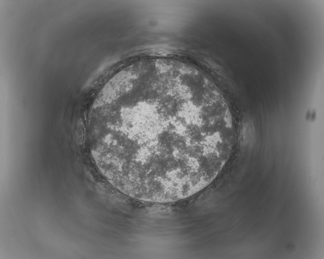 X0000112381446200909101334