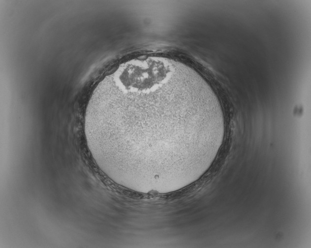 X0000112381447200909101334