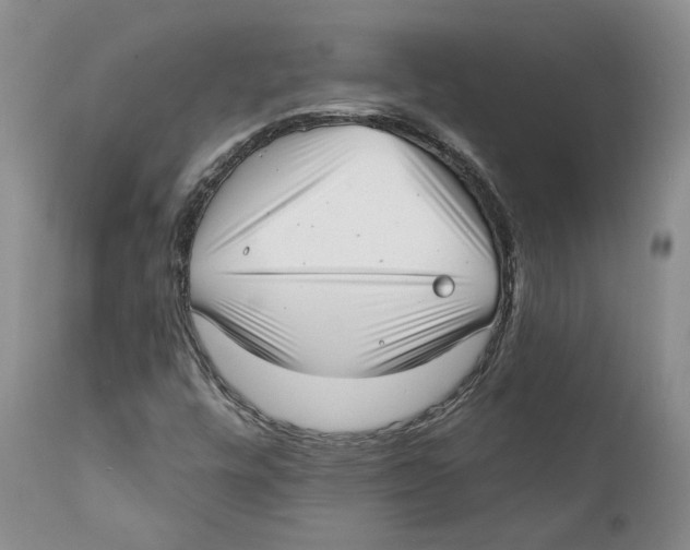 X0000112381448200909101334