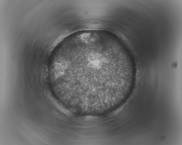 X0000112381449200909101334