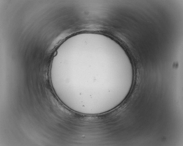 X0000112381451200909101334