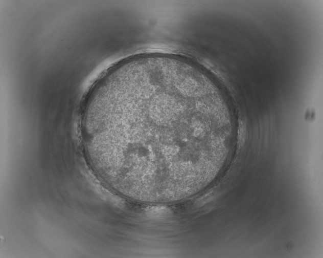 X0000112381454200909101334