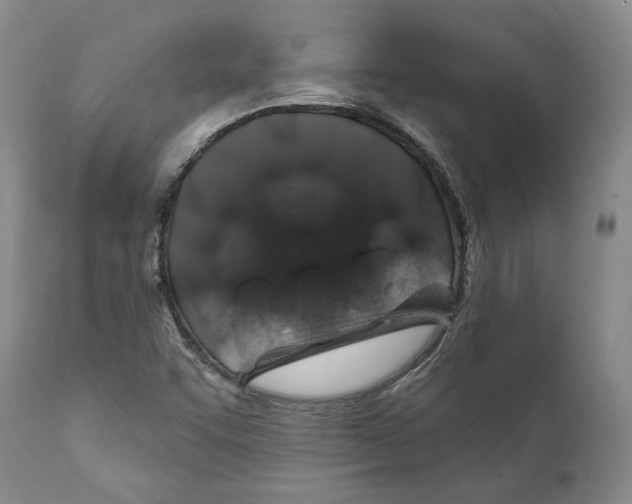 X0000112381455200909101334