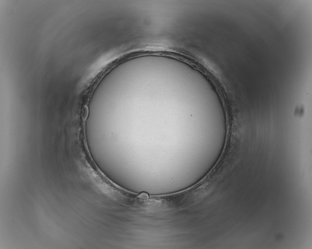 X0000112381456200909101334