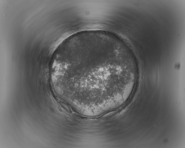 X0000112381457200909101334