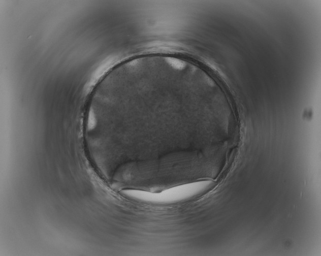 X0000112381459200909101334