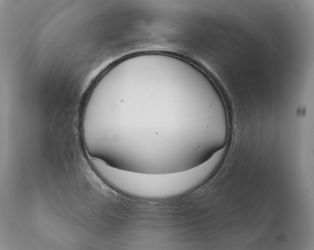 X0000112381460200909101334