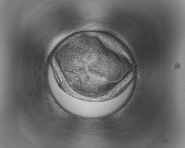 X0000112381461200909101334