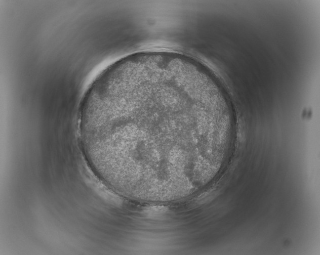 X0000112381462200909101334