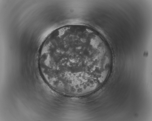 X0000112381463200909101334