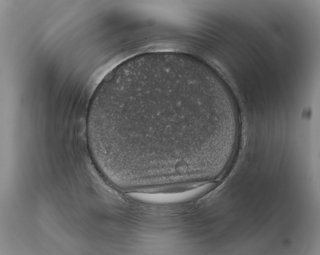 X0000112381465200909101334