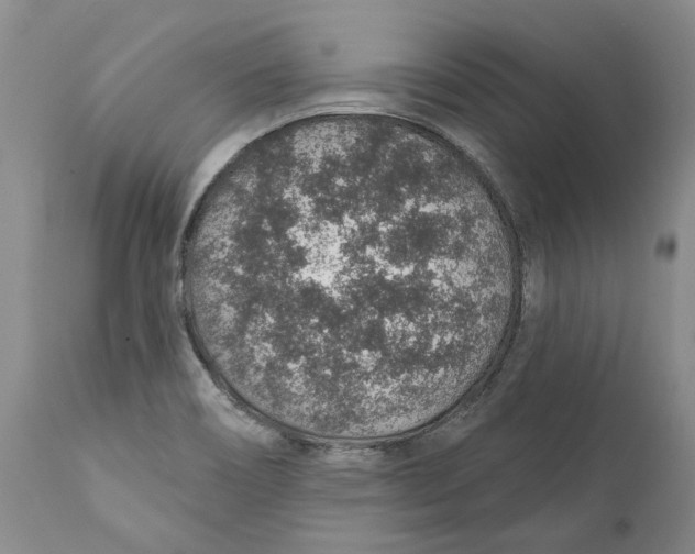 X0000112381466200909101334