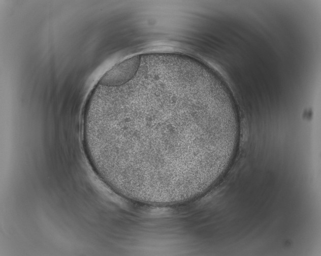 X0000112381467200909101334