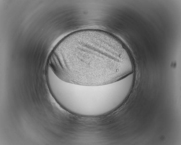 X0000112381468200909101334