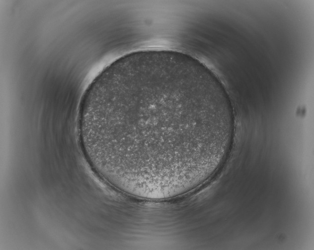 X0000112381469200909101334