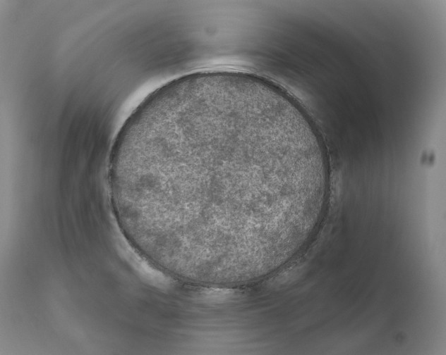 X0000112381470200909101334