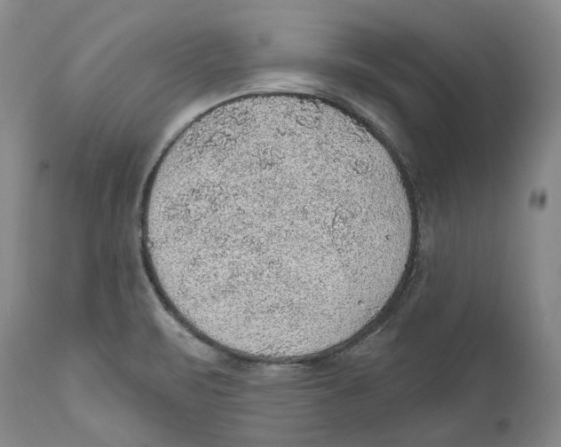 X0000112381471200909101334