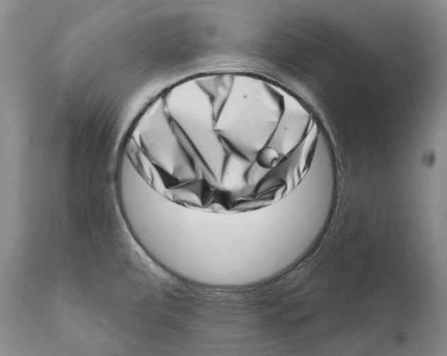 X0000112381472200909101334