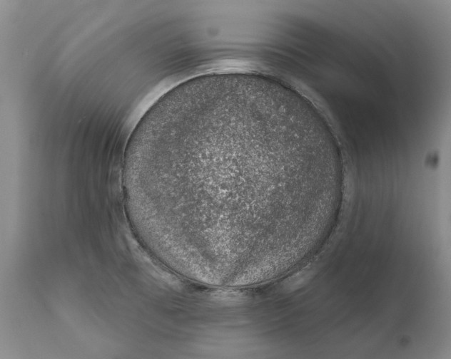 X0000112381473200909101334