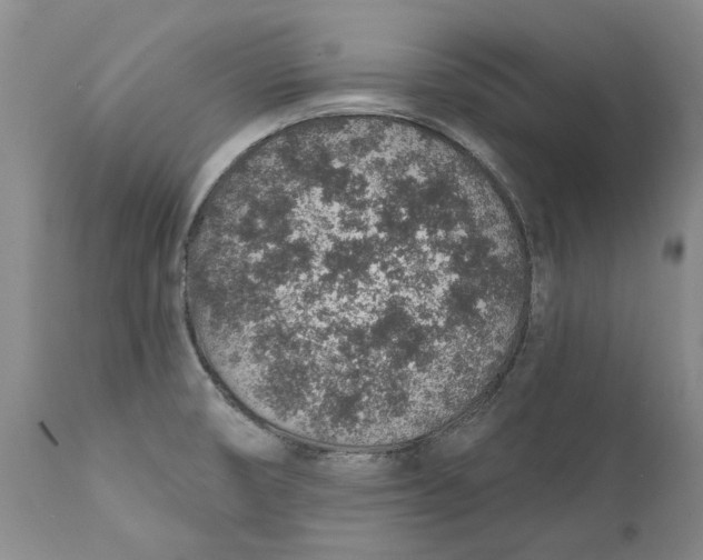 X0000112381474200909101334