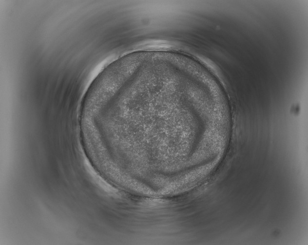 X0000112381475200909101334