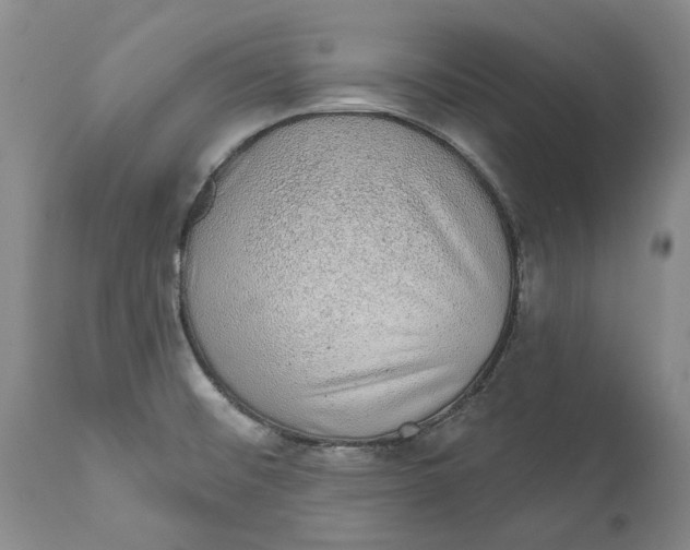 X0000112381476200909101334