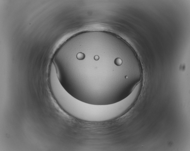 X0000112381477200909101334