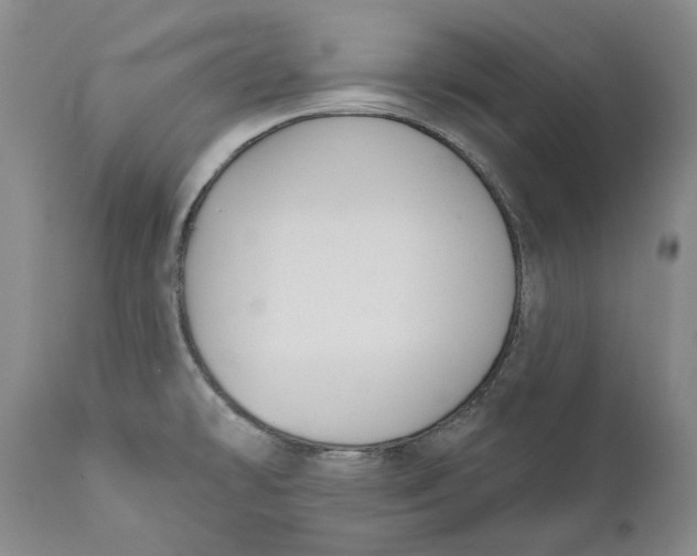 X0000112381478200909101334