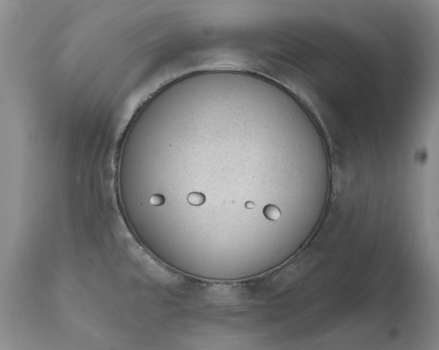 X0000112381480200909101334