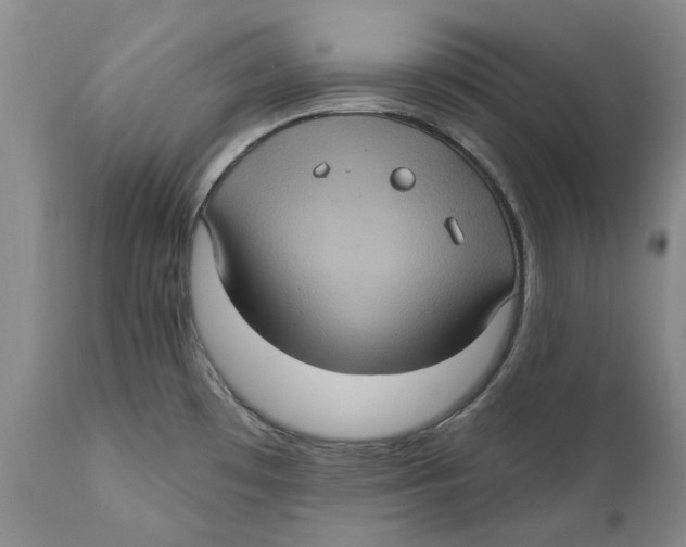 X0000112381481200909101334