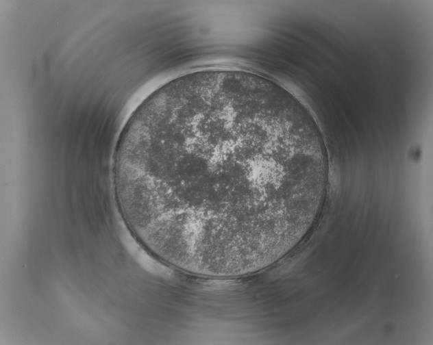 X0000112381482200909101334