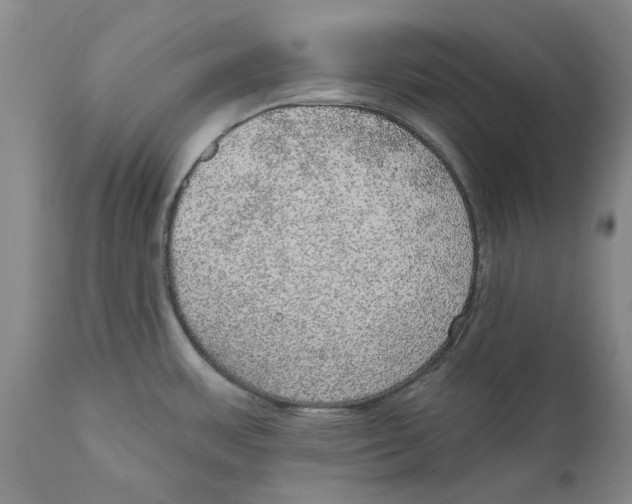 X0000112381483200909101334